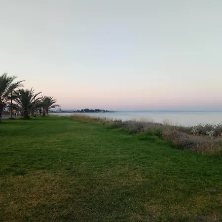 See Laif